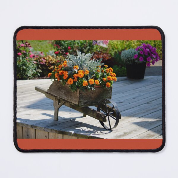 Item preview, Marigold wheelbarrow designed and sold by Beth Tidd.