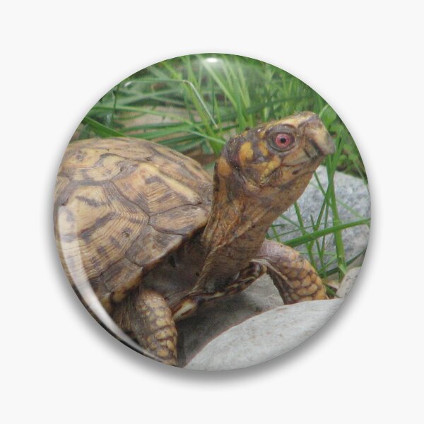 Item preview, Turtle time designed and sold by Beth Tidd.