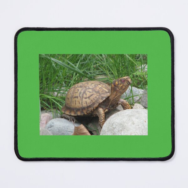 Item preview, Turtle time designed and sold by Beth Tidd.