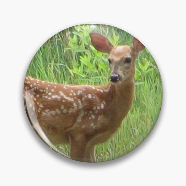 Item preview, Deer designed and sold by Beth Tidd.