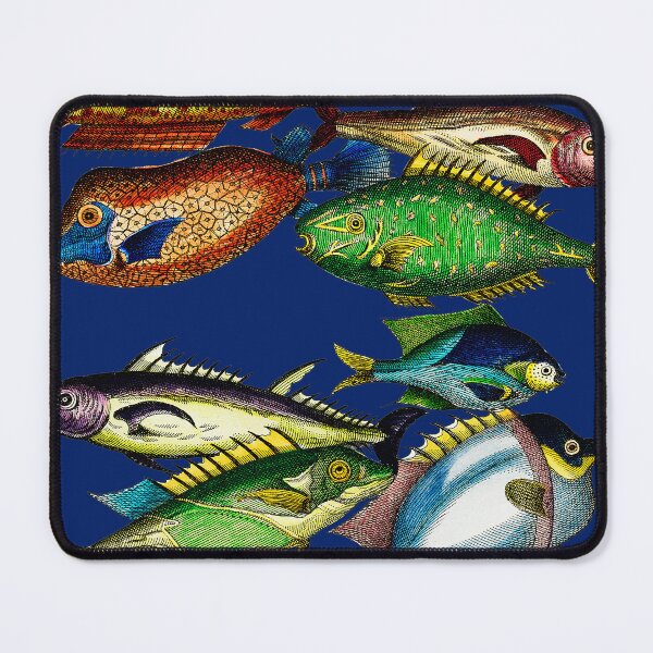 Item preview, Vintage Fish Scientific Illustration designed and sold by ToadsWorkshop.