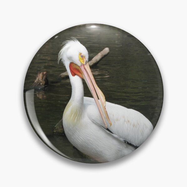 Item preview, Pelican watching designed and sold by Beth Tidd.