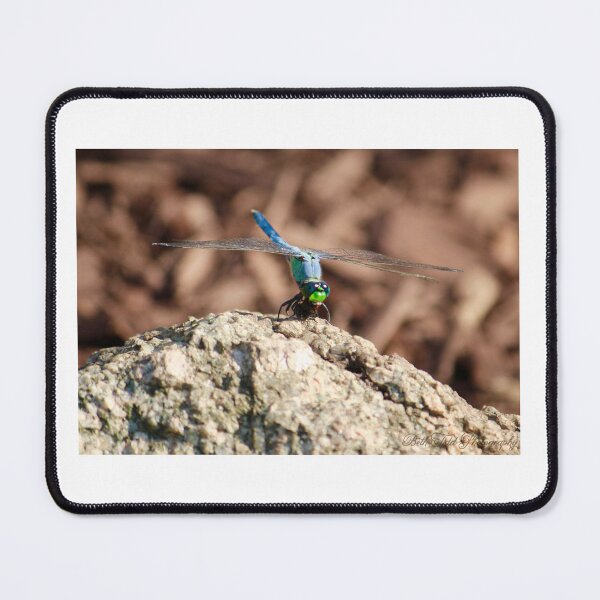 Item preview, I see you designed and sold by Beth Tidd.