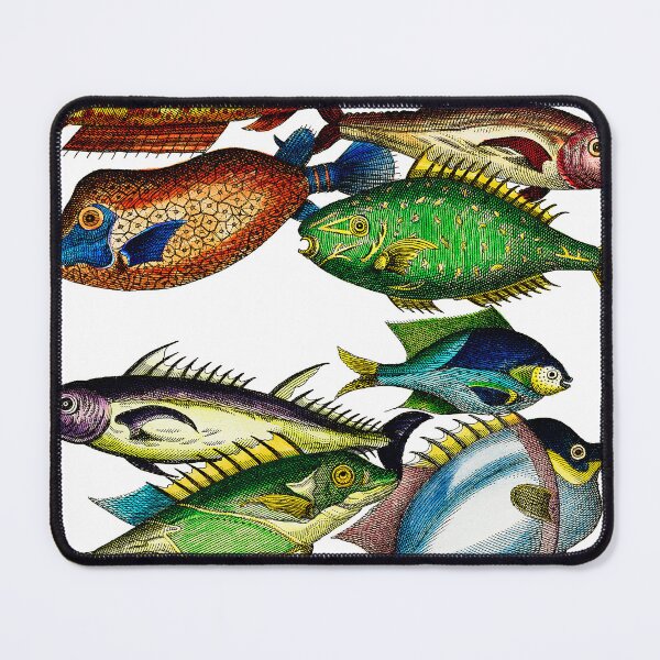Item preview, Vintage Fish Scientific Illustration designed and sold by ToadsWorkshop.
