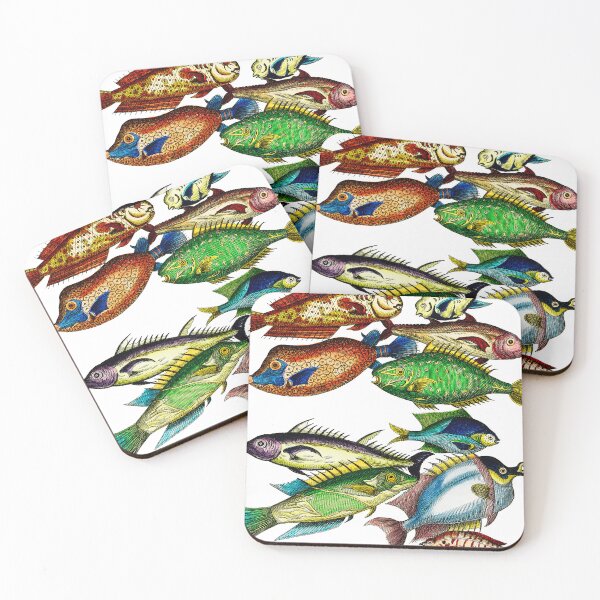 Item preview, Vintage Fish Scientific Illustration designed and sold by ToadsWorkshop.