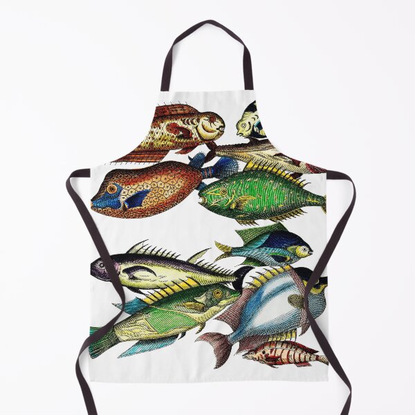 Item preview, Vintage Fish Scientific Illustration designed and sold by ToadsWorkshop.