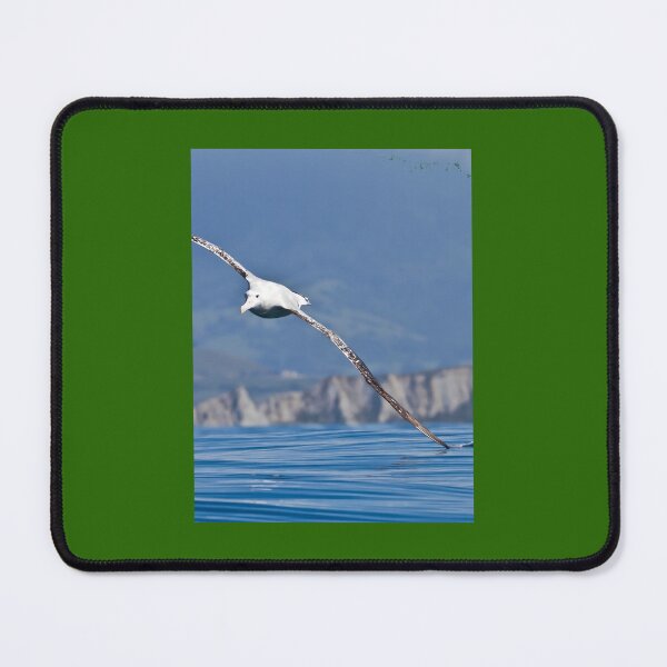 Item preview, Wandering Albatross - New Zealand Art Print 	 designed and sold by rxucufcan46.