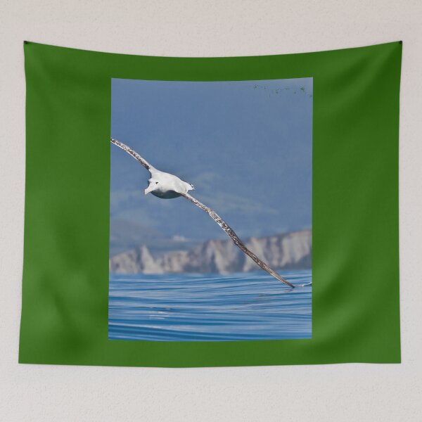 Item preview, Wandering Albatross - New Zealand Art Print 	 designed and sold by rxucufcan46.