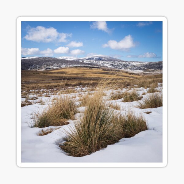 Item preview, Snowed In Grasses designed and sold by Geoff Wols.