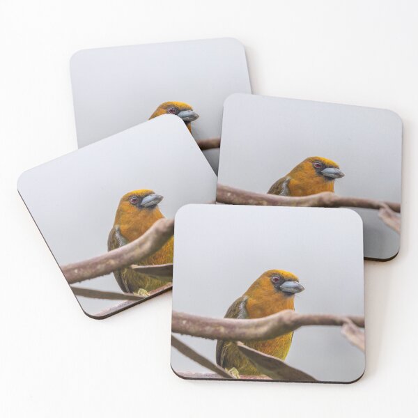 Artikelvorschau, Orangefarbener Vogel mit roten Augen entworfen und verkauft von SafariByMarisa.