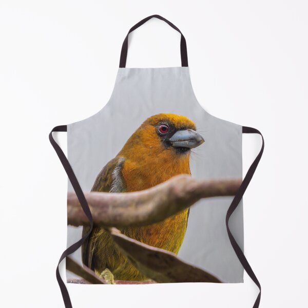 Artikelvorschau, Orangefarbener Vogel mit roten Augen entworfen und verkauft von SafariByMarisa.