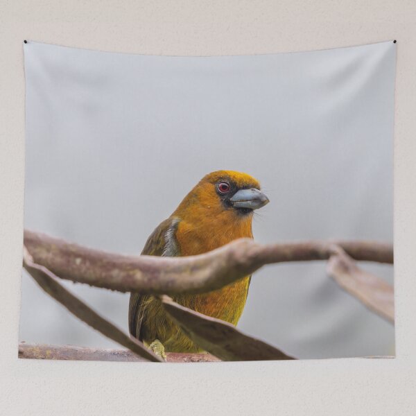 Item preview, Orange bird with Red Eyes designed and sold by SafariByMarisa.