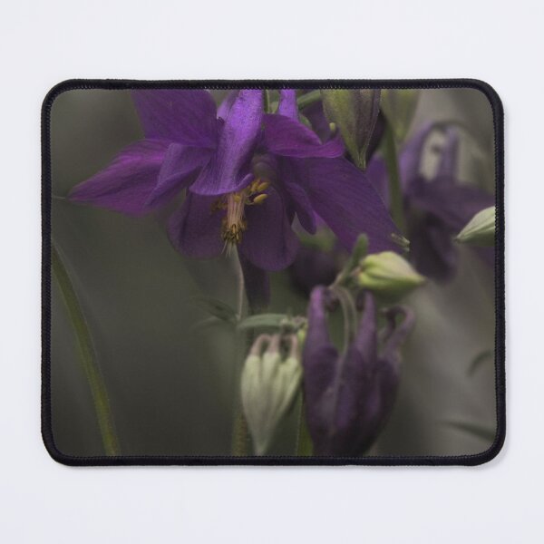 Item preview, Sunlight on Columbine designed and sold by Wayne King.
