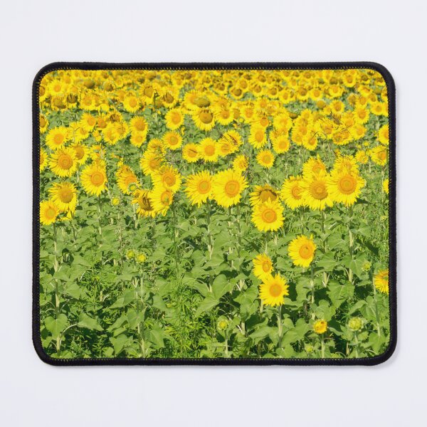 Item preview, Happy Summery Field of Sunflowers designed and sold by Georgia Mizuleva.