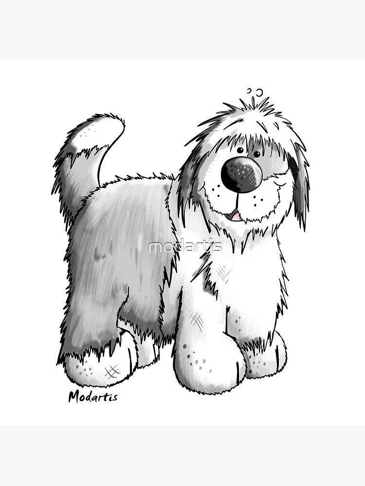 Sheepdog Inglês Velho (bobtail) Imagem de Stock - Imagem de bobo, isolado:  14317501