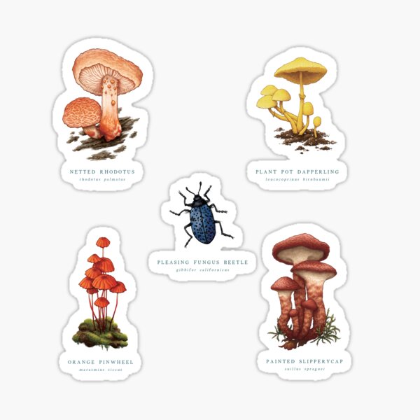 Item preview, Mushroom Specimens designed and sold by madampuddleduck.