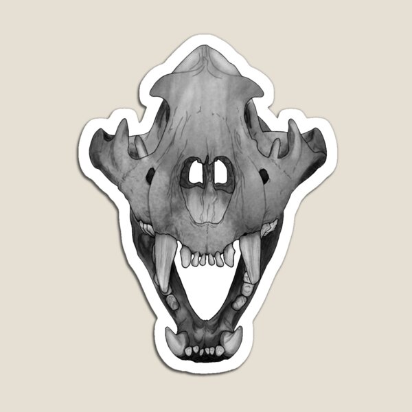 Item preview, Wolf Skull designed and sold by Corvinus5962.