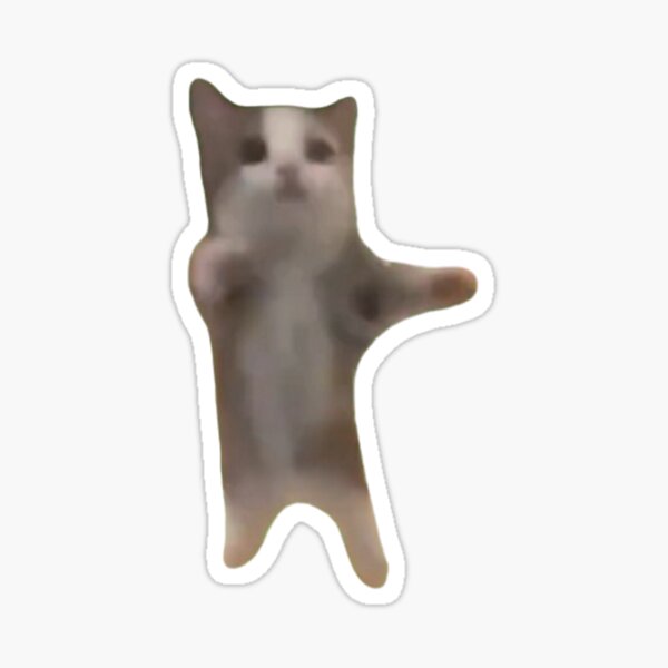 Dancing Cat Meme GIFs