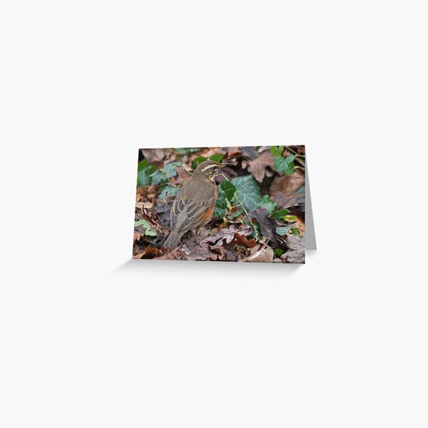 Item preview, Foraging   designed and sold by Robert Abraham.