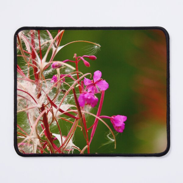 Item preview, Flower macros designed and sold by Ron-n-Flanigan.