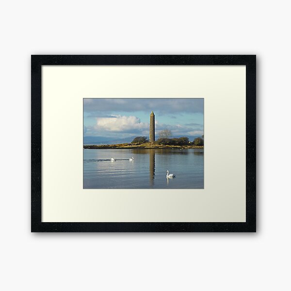 Three Swans and a Pencil Framed Art Print