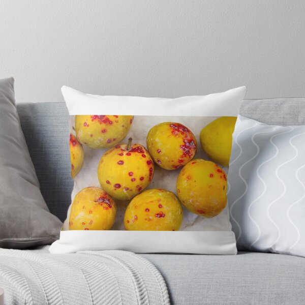 Item preview, Ploquat(s) designed and sold by Mitchel Whitehead.