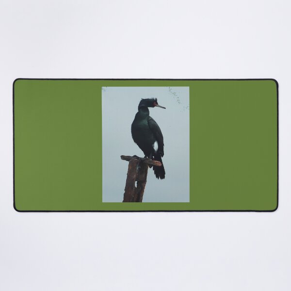 Item preview, Pelagic Cormorant 	 1	 designed and sold by cxezigxugm90.