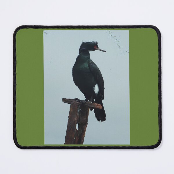 Item preview, Pelagic Cormorant 	 1	 designed and sold by cxezigxugm90.