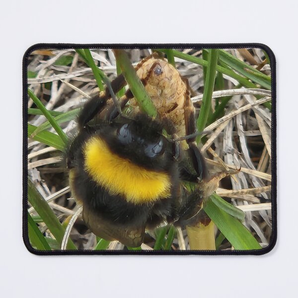 Item preview, Busy Bee designed and sold by Passion4Travel.
