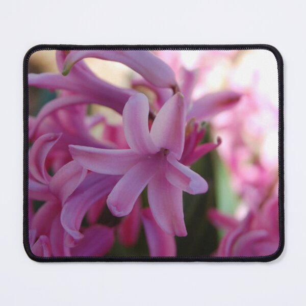 Item preview, Pink Hyacinth designed and sold by Eclectic Gold.