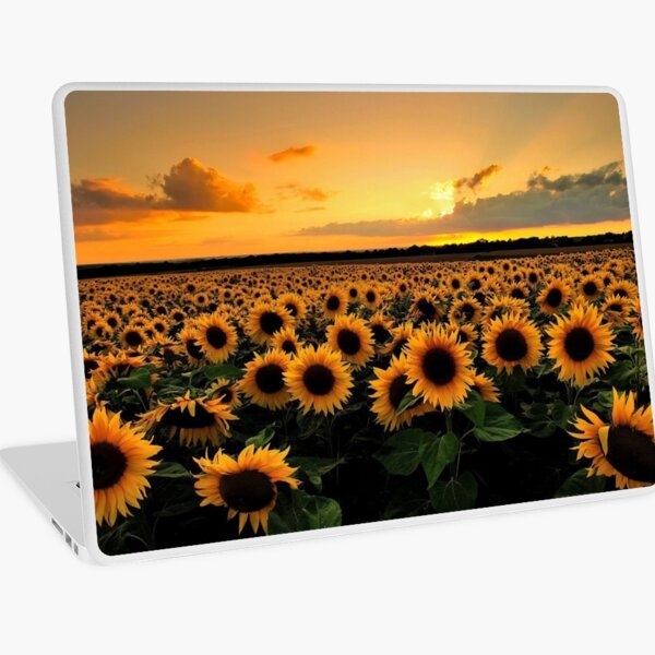 Item preview, Tournesols 3 designed and sold by EiE-Mishu.