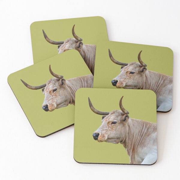 Item preview, Smart  White Park Cow relaxing in the sunshine designed and sold by Dalyndigital Photography.