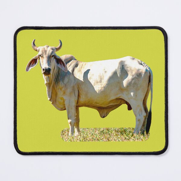 Item preview, Brahma Bull outstanding in his field designed and sold by Dalyndigital Photography.