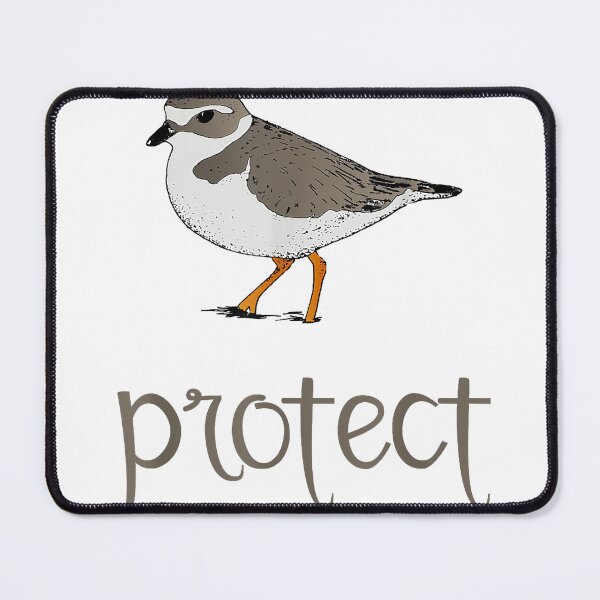 Item preview, Shore Bird Piping Plover Hand Drawn Marine Illustration  designed and sold by GuadalupeHard.