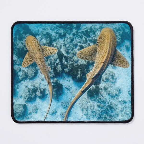 Item preview, Double leopard shark designed and sold by finsandphotos.