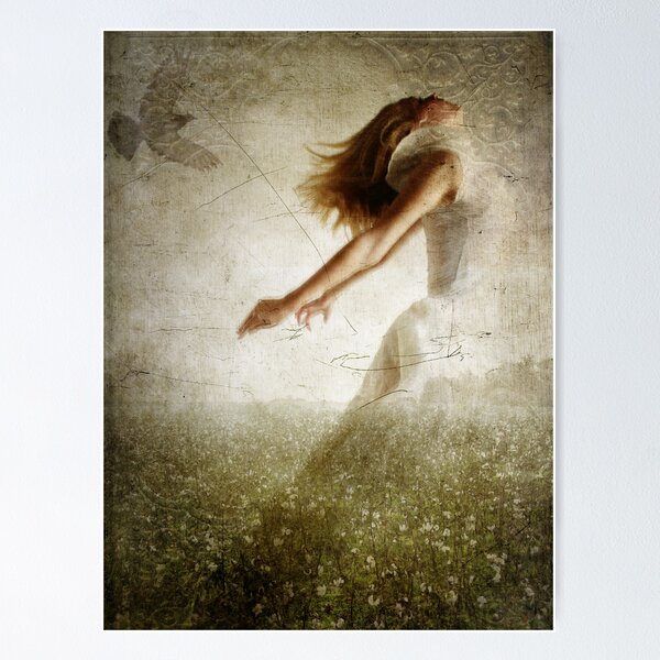 Killing Me Softly Poster