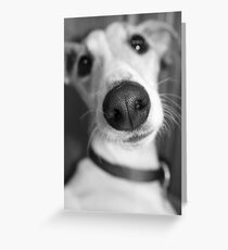 Louie Greeting Card