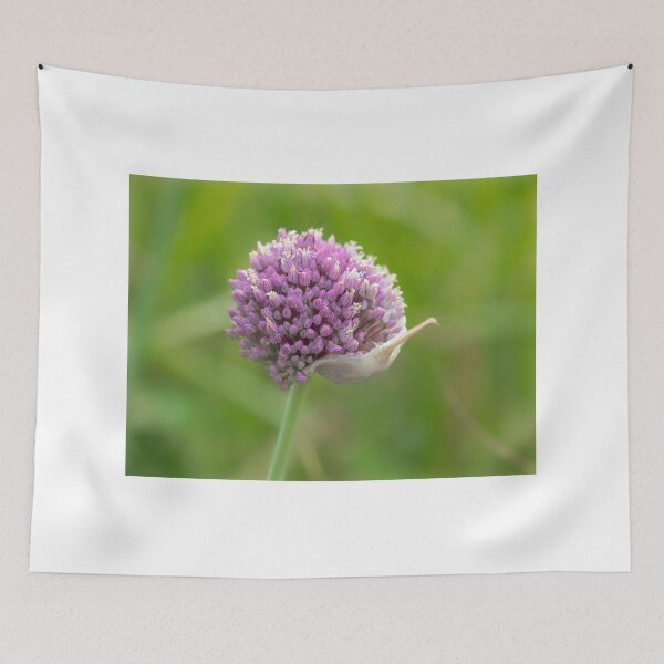 Item preview, Purple Allium  designed and sold by Dorset Girl.