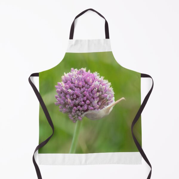 Item preview, Purple Allium  designed and sold by Dorset Girl.