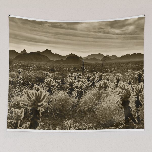 Item preview, Teddy Bear Cactus designed and sold by TianxinZheng.