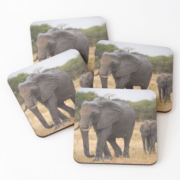 Item preview, Mum and Baby Safari Stroll designed and sold by JoSowden.
