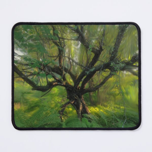 Item preview, The Old Apple in the Woods designed and sold by Wayne King.