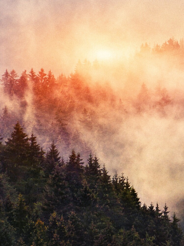 Aperçu 4 sur 4. Coque iPhone avec l'œuvre In My Other World // Sunrise In A Romantic Misty Foggy Autumn Fairytale Wilderness Forest With Trees Covered In Fog And Sunlight créée et vendue par tekay.