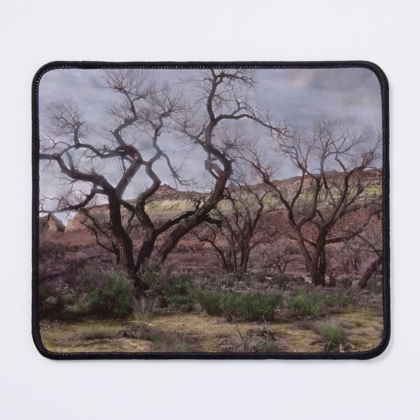 Item preview, Painted Cottonwood Mindscape designed and sold by Wayne King.