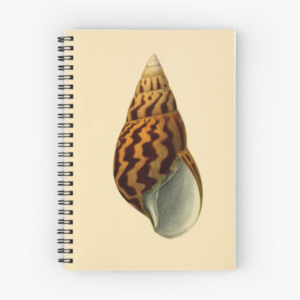 Item preview, Spiral Seashell designed and sold by jimonym.