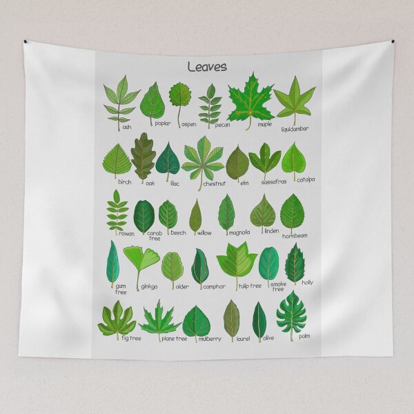 Item preview, Trees Leaves Homeschool Educational  designed and sold by herdolasri.