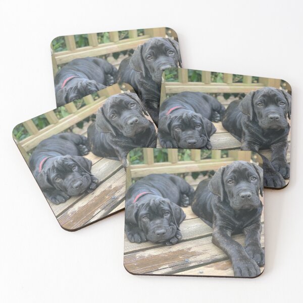Item preview, Neo Bullmastiff Puppies designed and sold by Colorcollage.