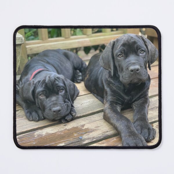 Item preview, Neo Bullmastiff Puppies designed and sold by Colorcollage.