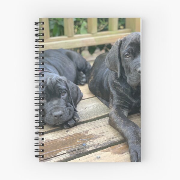 Item preview, Cachorros Bullmastiff Neo designed and sold by Colorcollage.