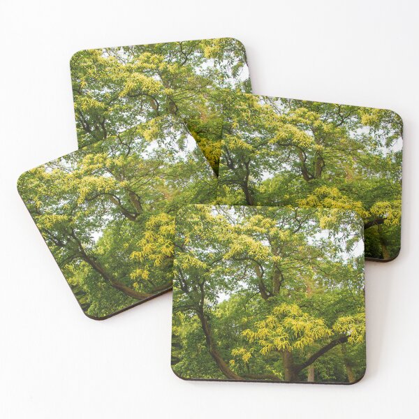 Item preview, Such a great tree designed and sold by jchanders.